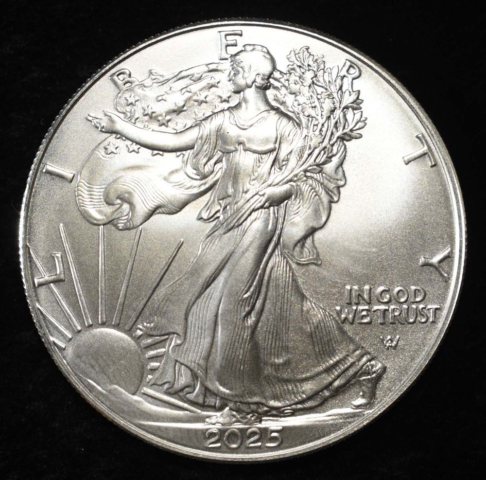 2025 AMERICAN SILVER EAGLE. WEEKLY COIN & CURRENCY AUCTIONS ESTIMATE $110 - $160.