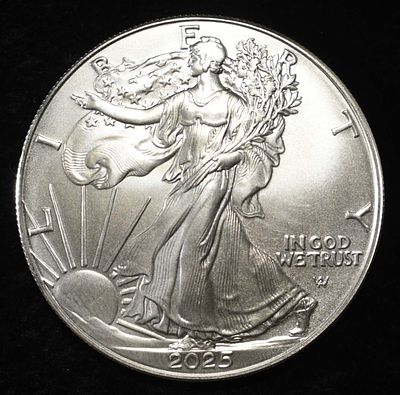 2025 AMERICAN SILVER EAGLE. WEEKLY COIN & CURRENCY AUCTIONS ESTIMATE $110 - $160.