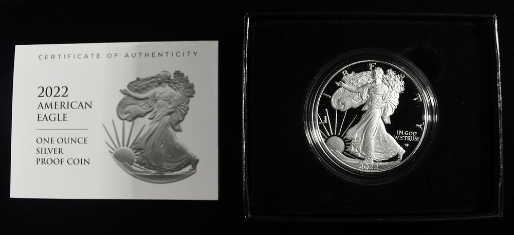 2022 AMERICAN SILVER EAGLE PROOF. WEEKLY COIN & CURRENCY AUCTIONS ESTIMATE $120 - $170.