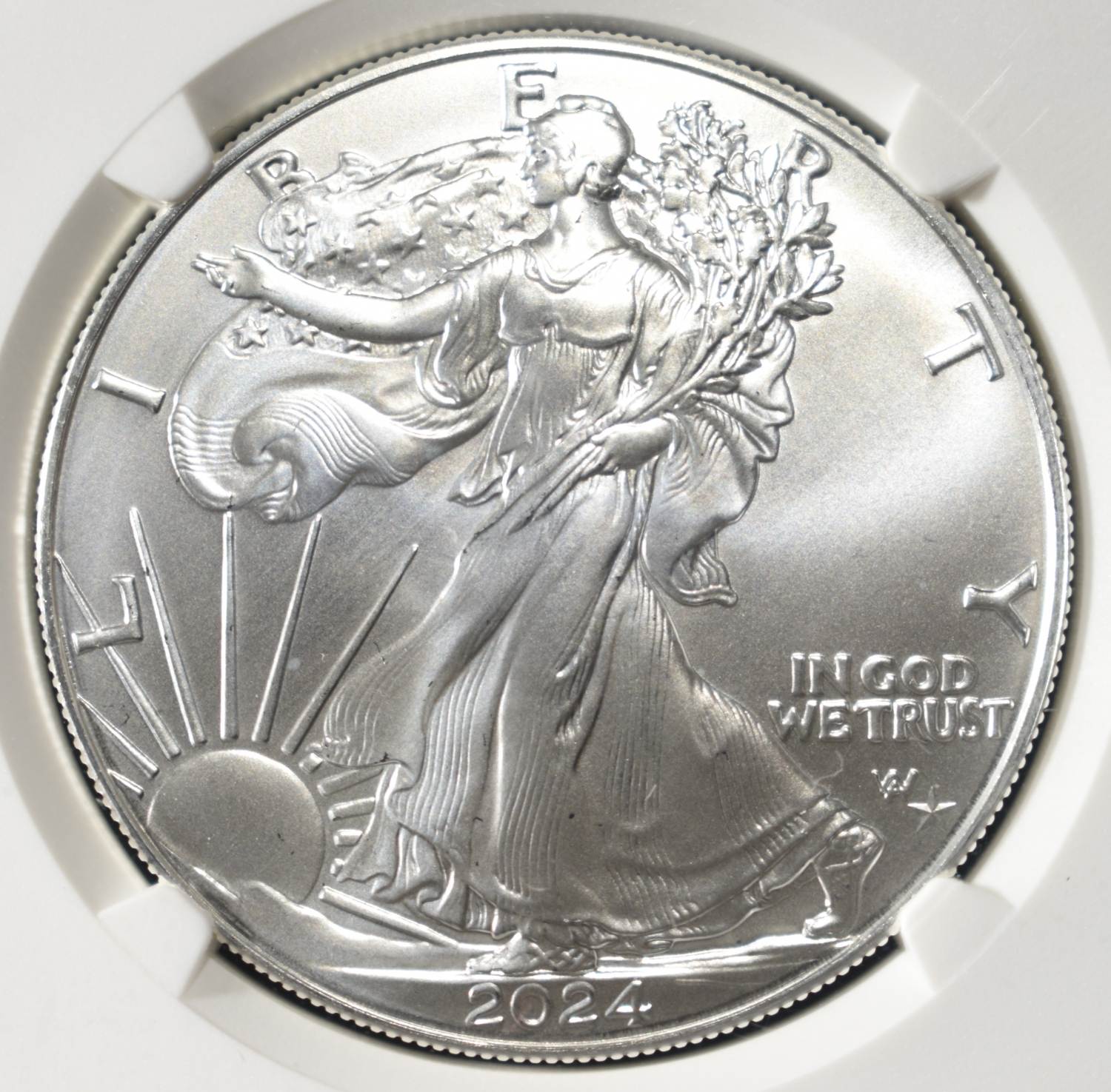 2024(P) AMERICAN SILVER EAGLE NGC MS70