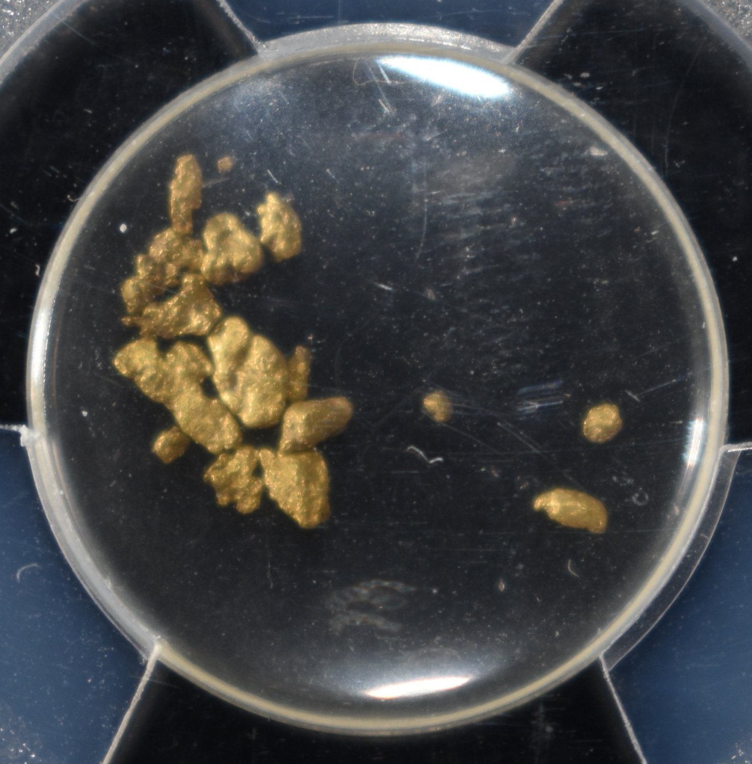 CALIFORNIA GOLD RUSH NUGGETS S.S. CENTRAL AMERICA