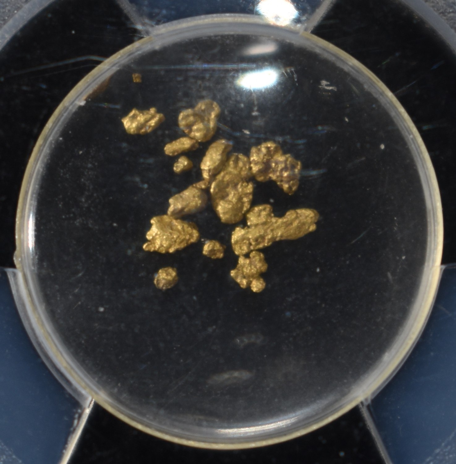 CALIFORNIA GOLD RUSH NUGGETS S.S. CENTRAL AMERICA