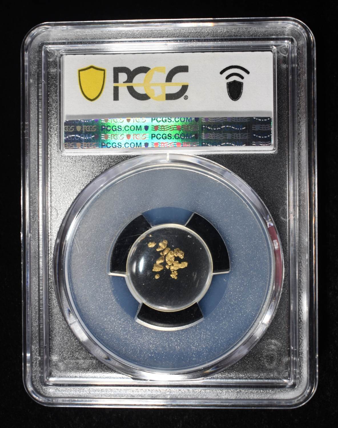 CALIFORNIA GOLD RUSH NUGGETS S.S. CENTRAL AMERICA