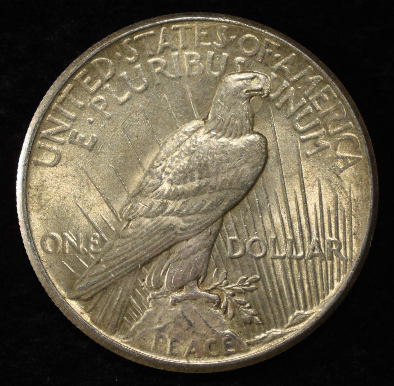 1925 PEACE DOLLAR