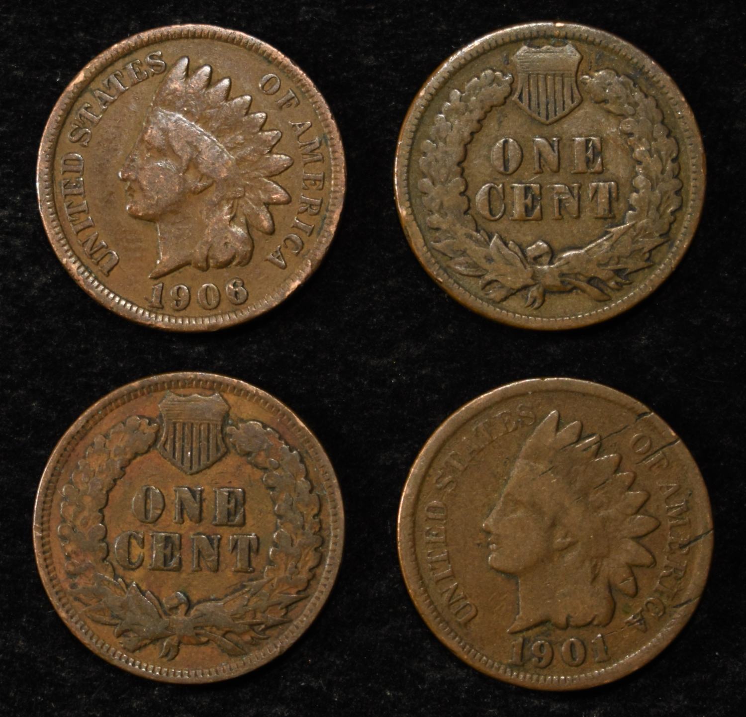 (50) INDIAN CENTS