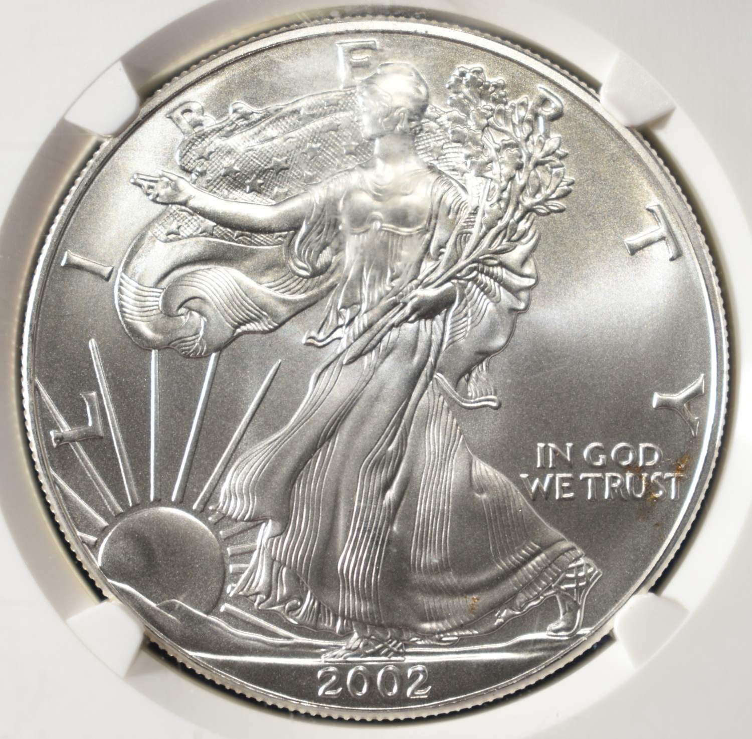 2002 AMERICAN SILVER EAGLE NGC MS69