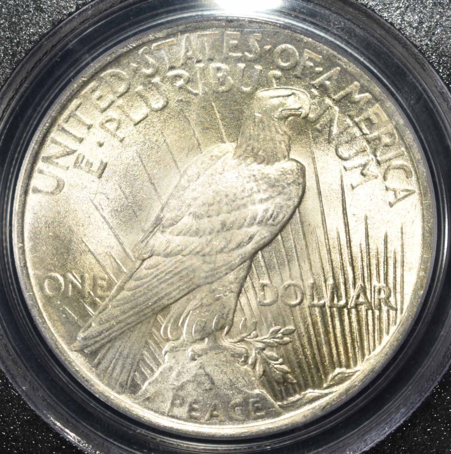 1923 PEACE DOLLAR PCGS MS63