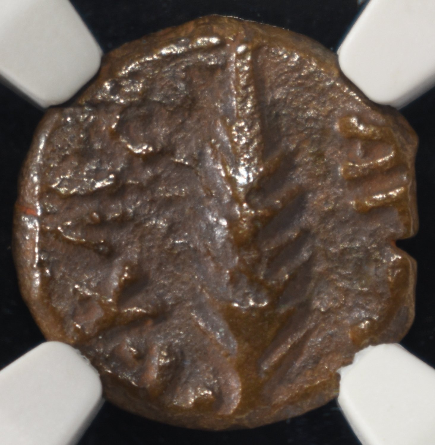 AD 59-62 PORCIUS FESTUS AE PRUTAH NGC VF