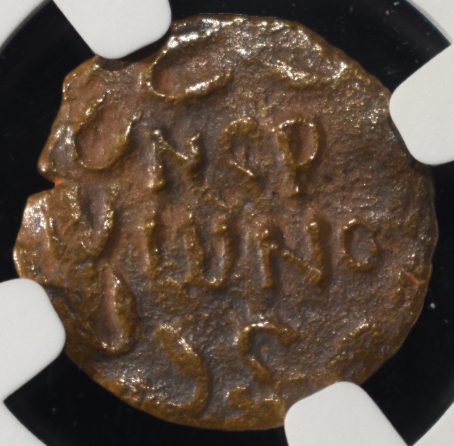 AD 59-62 PORCIUS FESTUS AE PRUTAH NGC VF