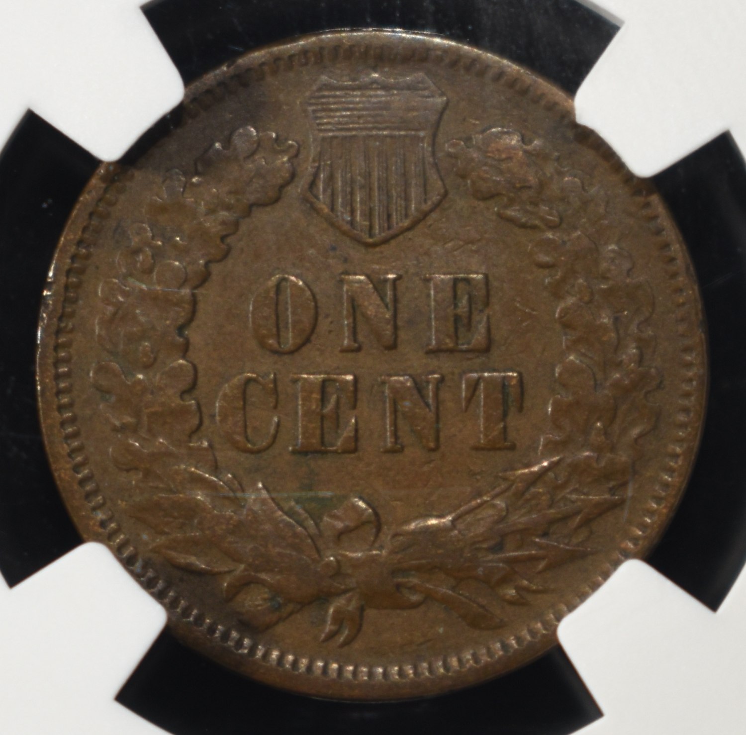 1872 INDIAN CENT NGC VF30BN