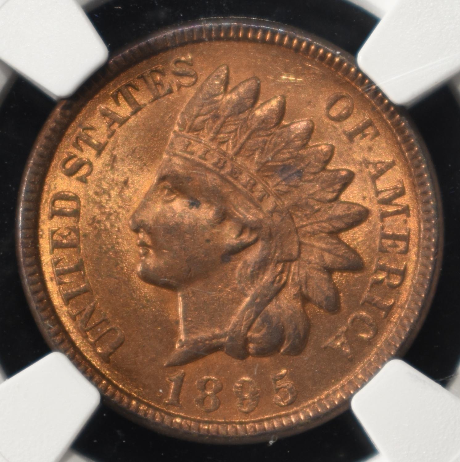 1895 INDIAN CENT NGC MS64RB
