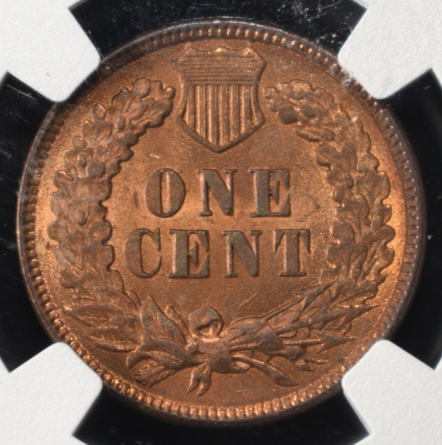 1895 INDIAN CENT NGC MS64RB