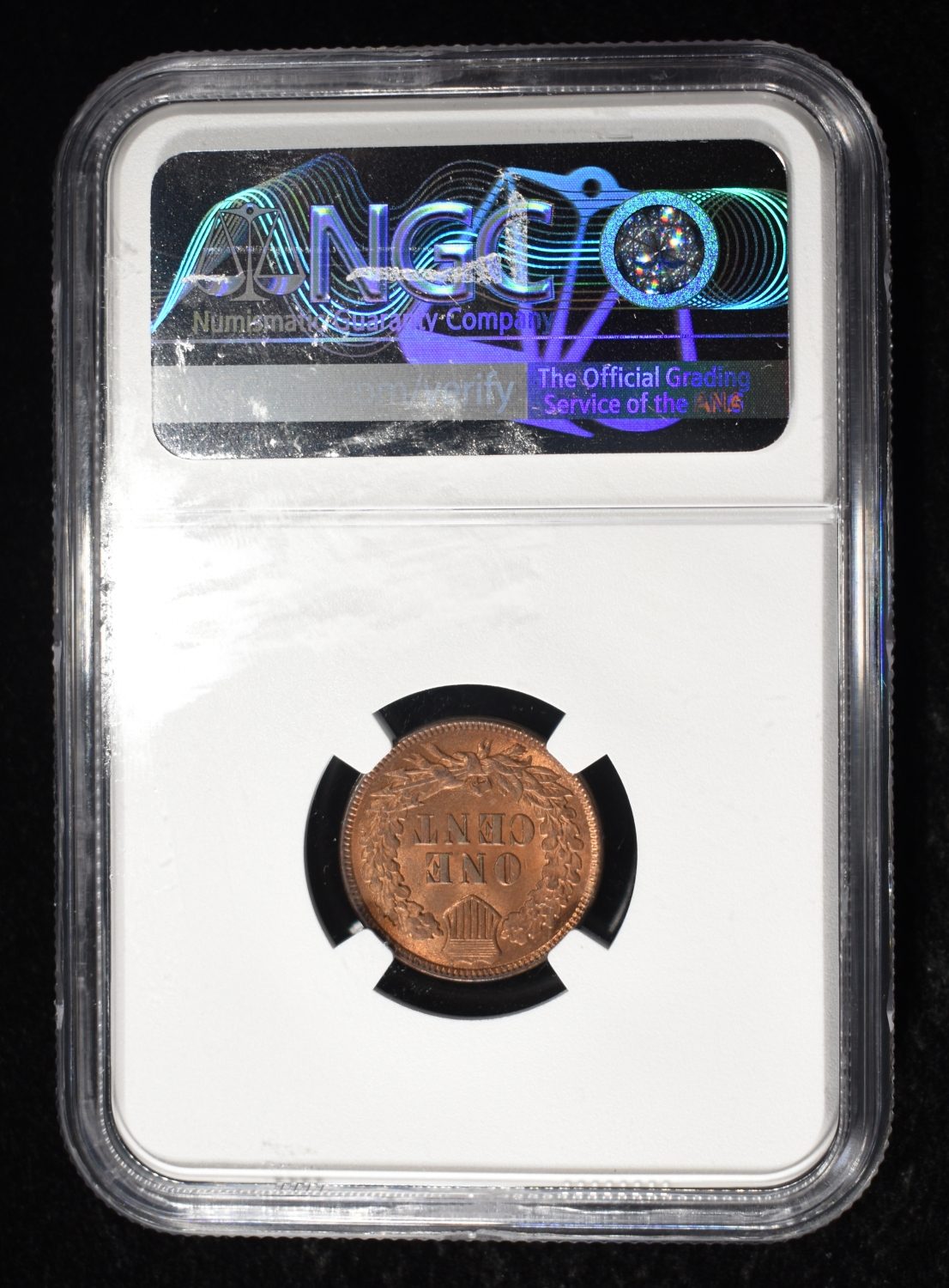 1895 INDIAN CENT NGC MS64RB