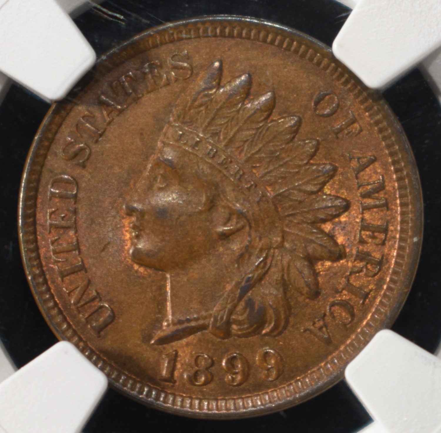 1899 INDIAN CENT NGC MS64BN