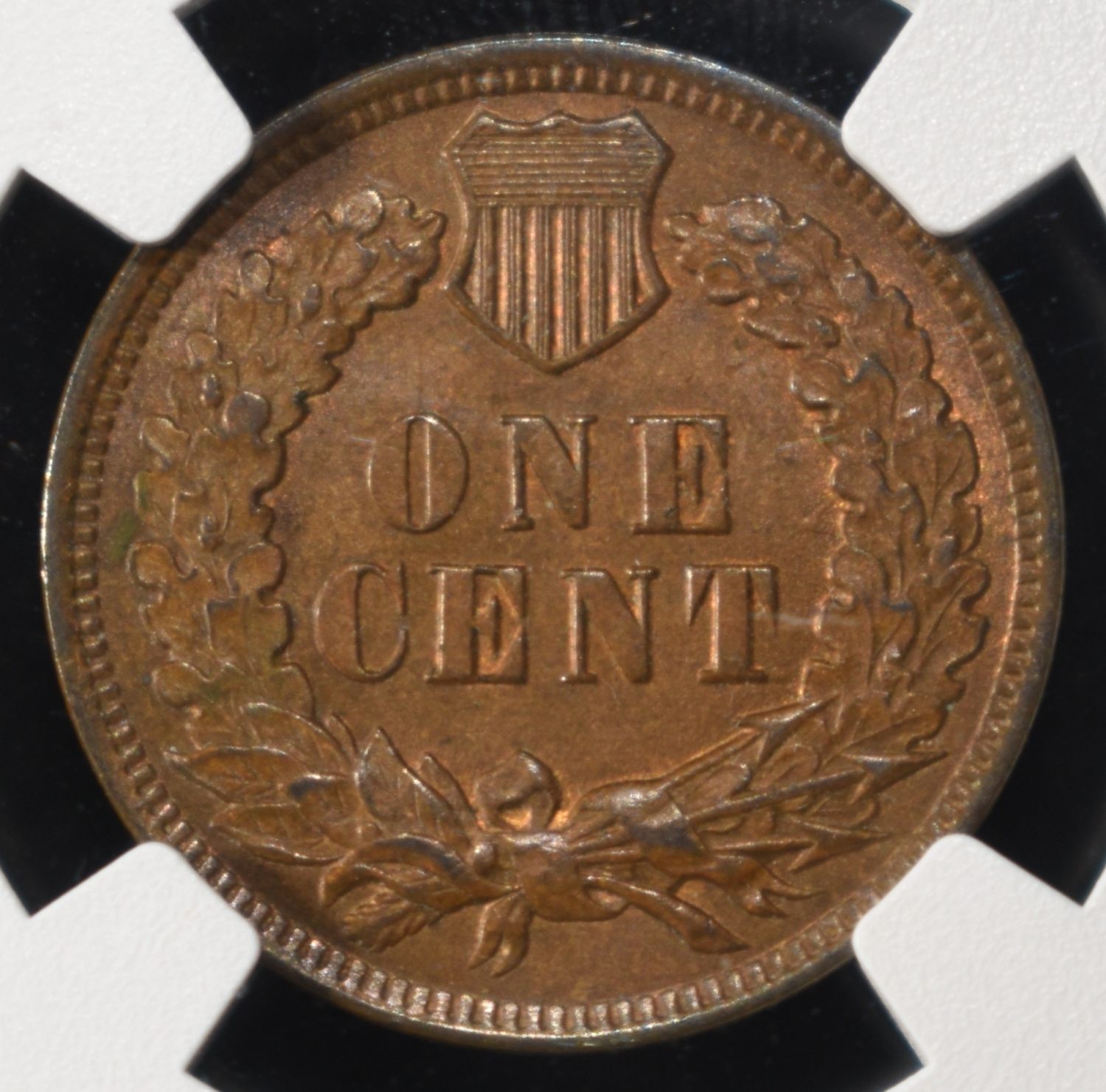 1899 INDIAN CENT NGC MS64BN