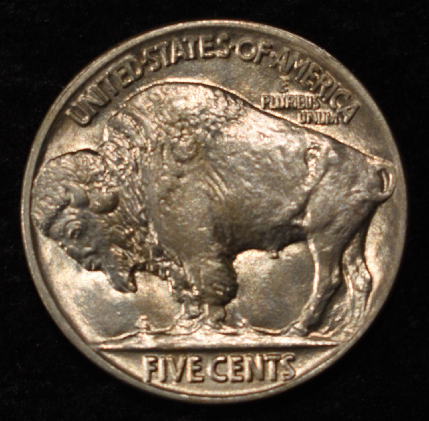 1915 BUFFALO NICKEL GEM BU