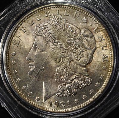 1921 MORGAN DOLLAR. LEADERS IN ON-LINE AUCTIONS ESTIMATE $90 - $130.