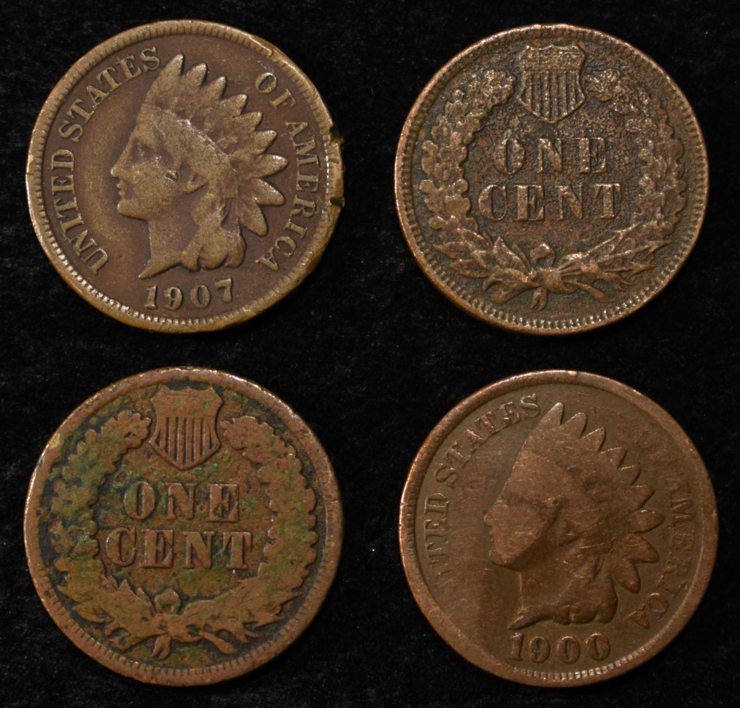 (50) INDIAN HEAD CENTS