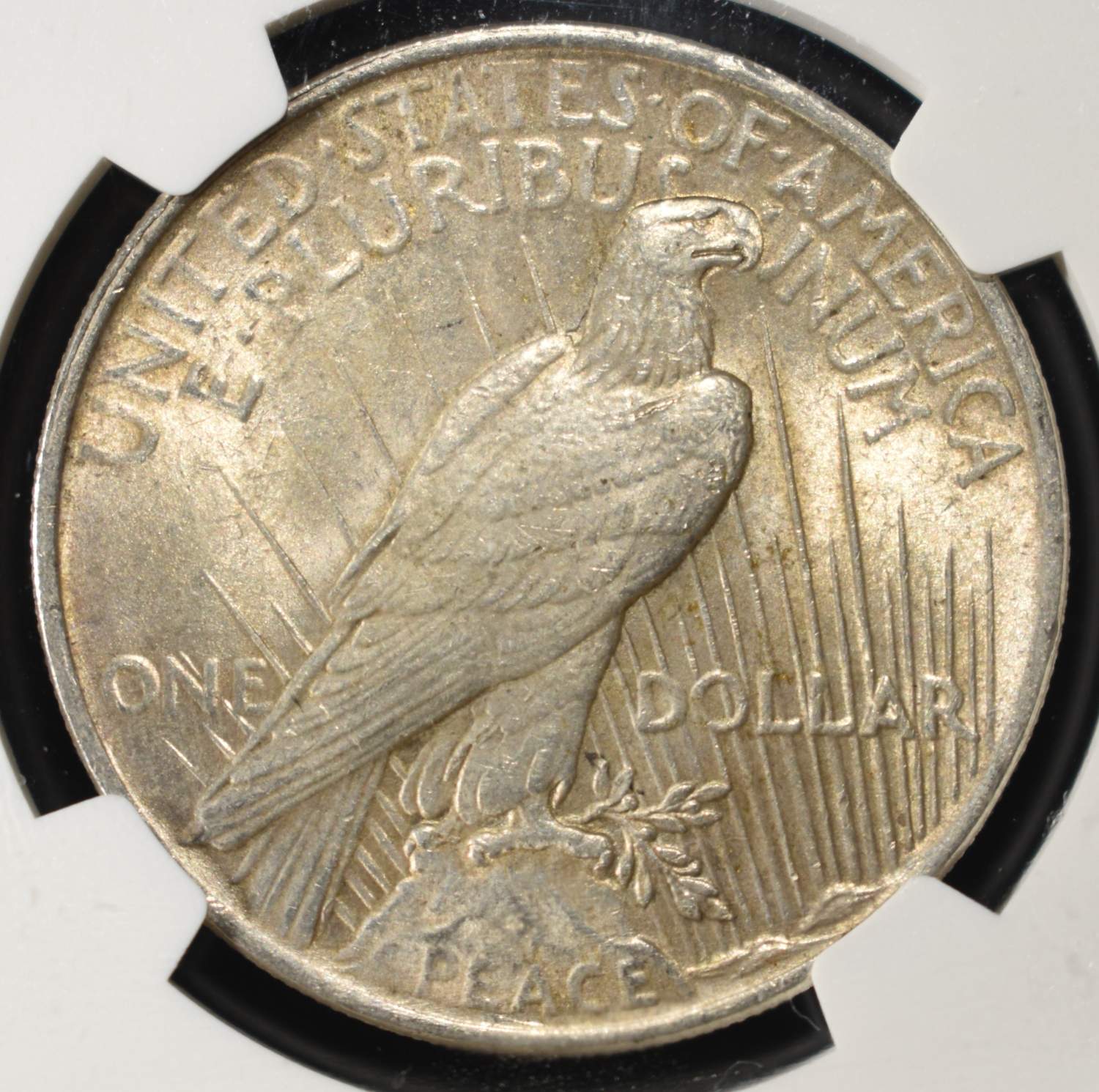 1924 PEACE DOLLAR NGC BRILLIANT UNC