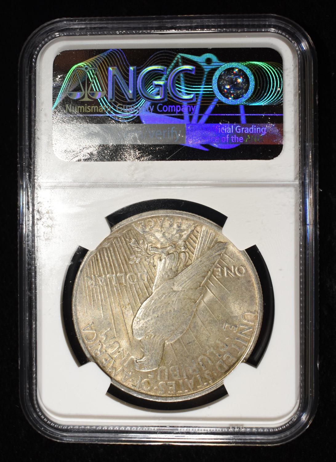 1924 PEACE DOLLAR NGC BRILLIANT UNC