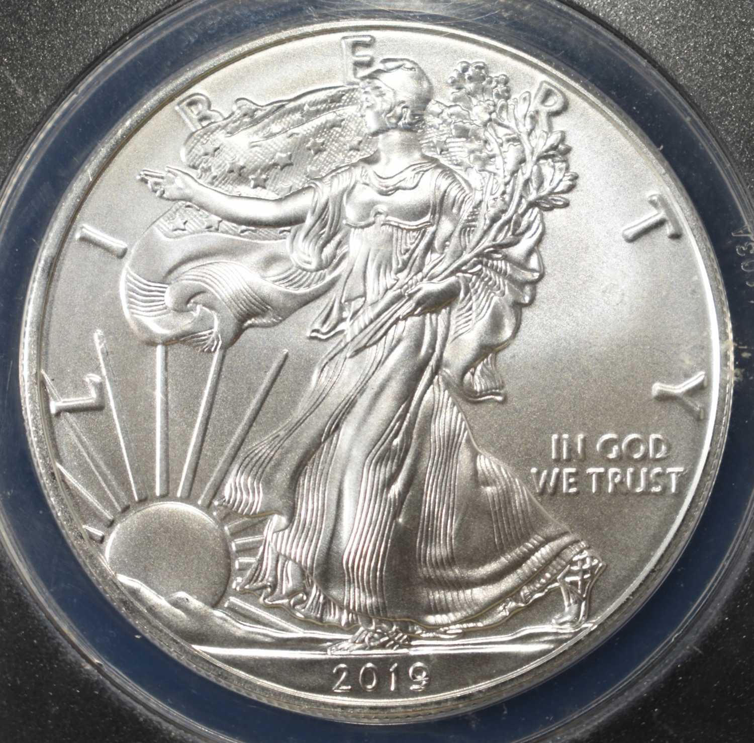 2019 AMERICAN SILVER EAGLE ANACS MS70