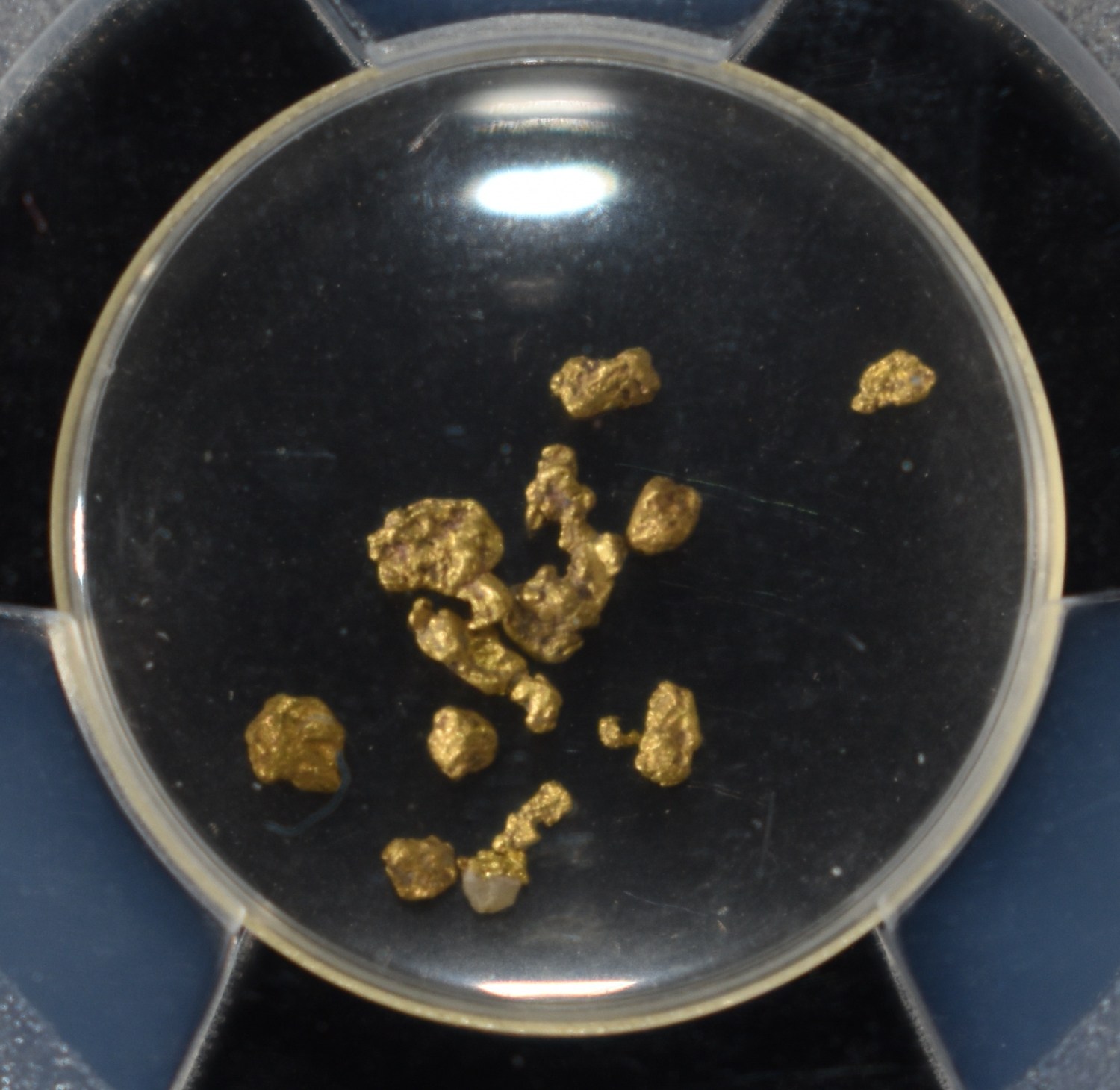 CALIFORNIA GOLD RUSH NUGGESTS PCGS