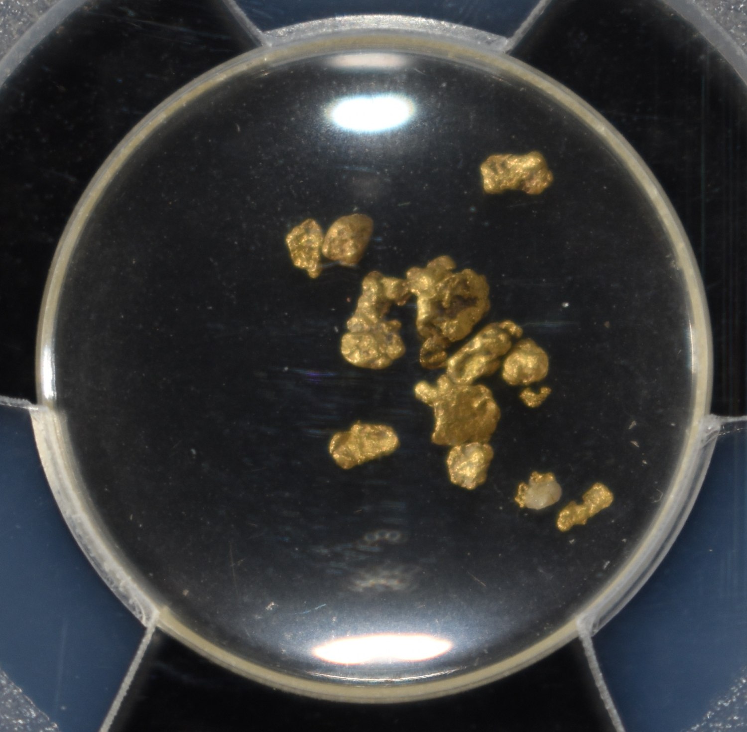 CALIFORNIA GOLD RUSH NUGGESTS PCGS