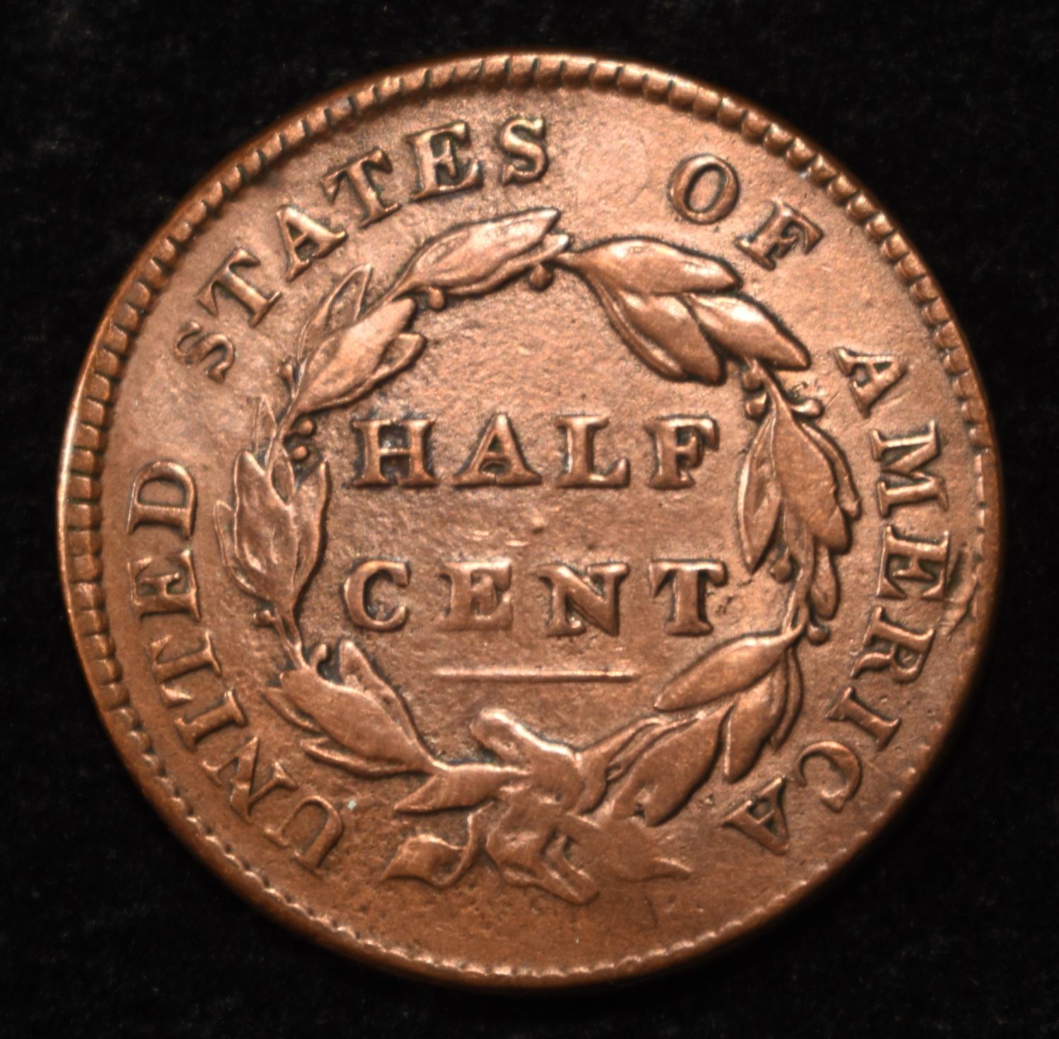 1825 CLASSIC HEAD HALF CENT XF/AU OBV DIG