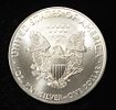 2009 AMERICAN SILVER EAGLE. WEEKLY COIN & CURRENCY AUCTIONS ESTIMATE $110 - $160.Image - 1