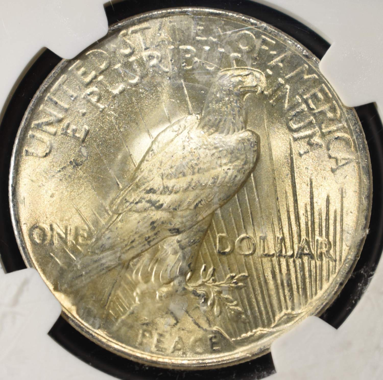 1923 PEACE DOLLAR NGC MS63
