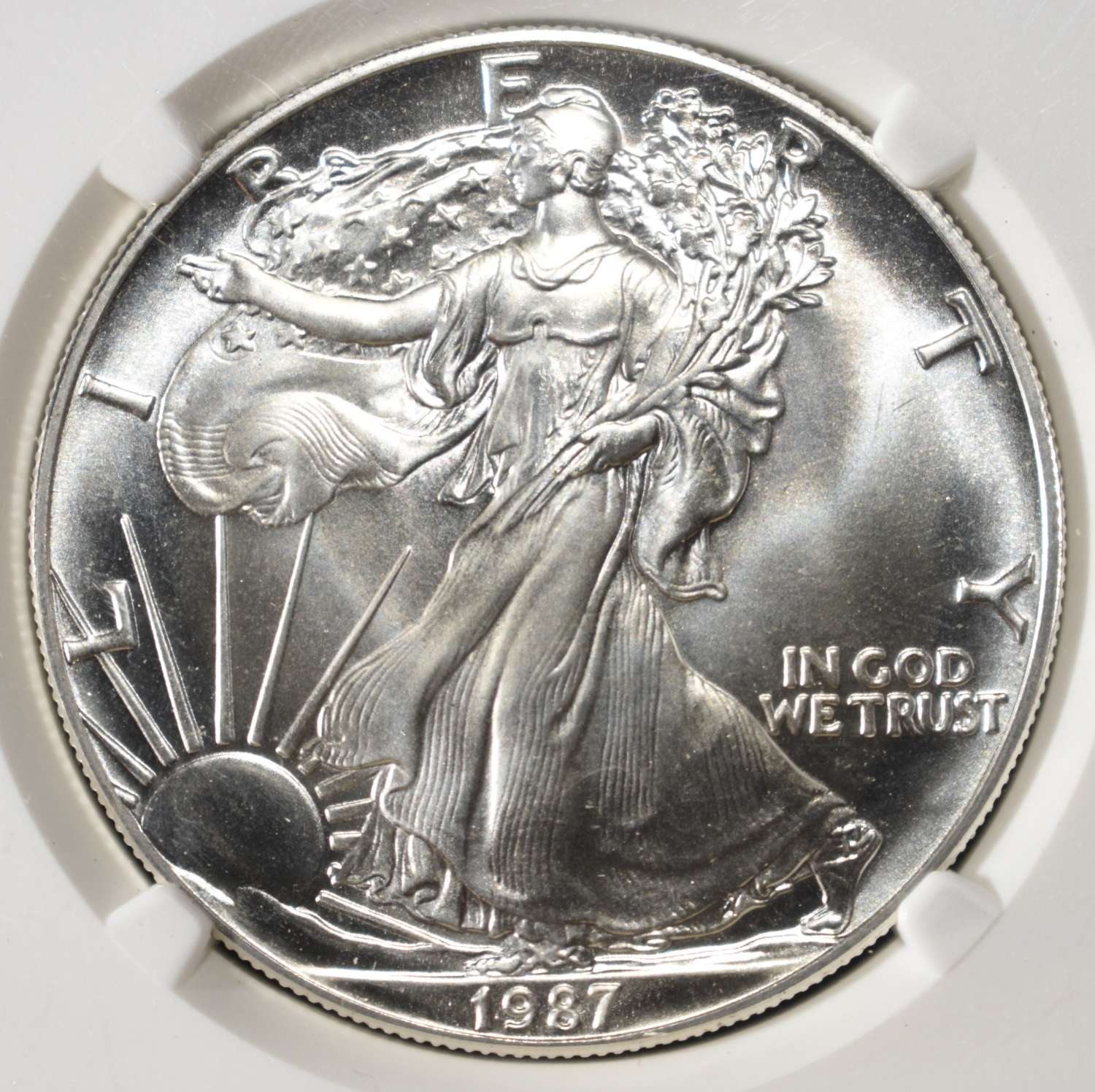 1987 AMERICAN SILVER EAGLE NGC MS69
