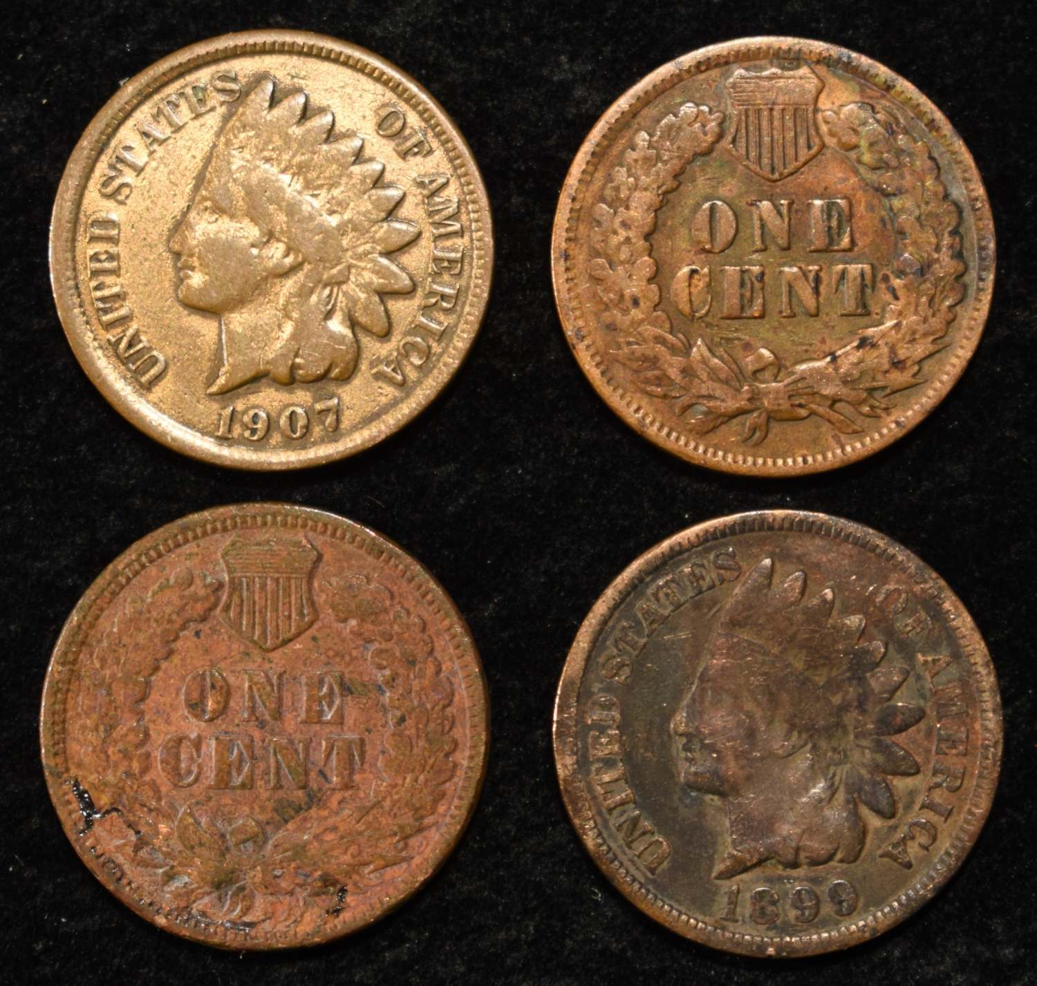 INDIAN HEAD CENT COLLECTION