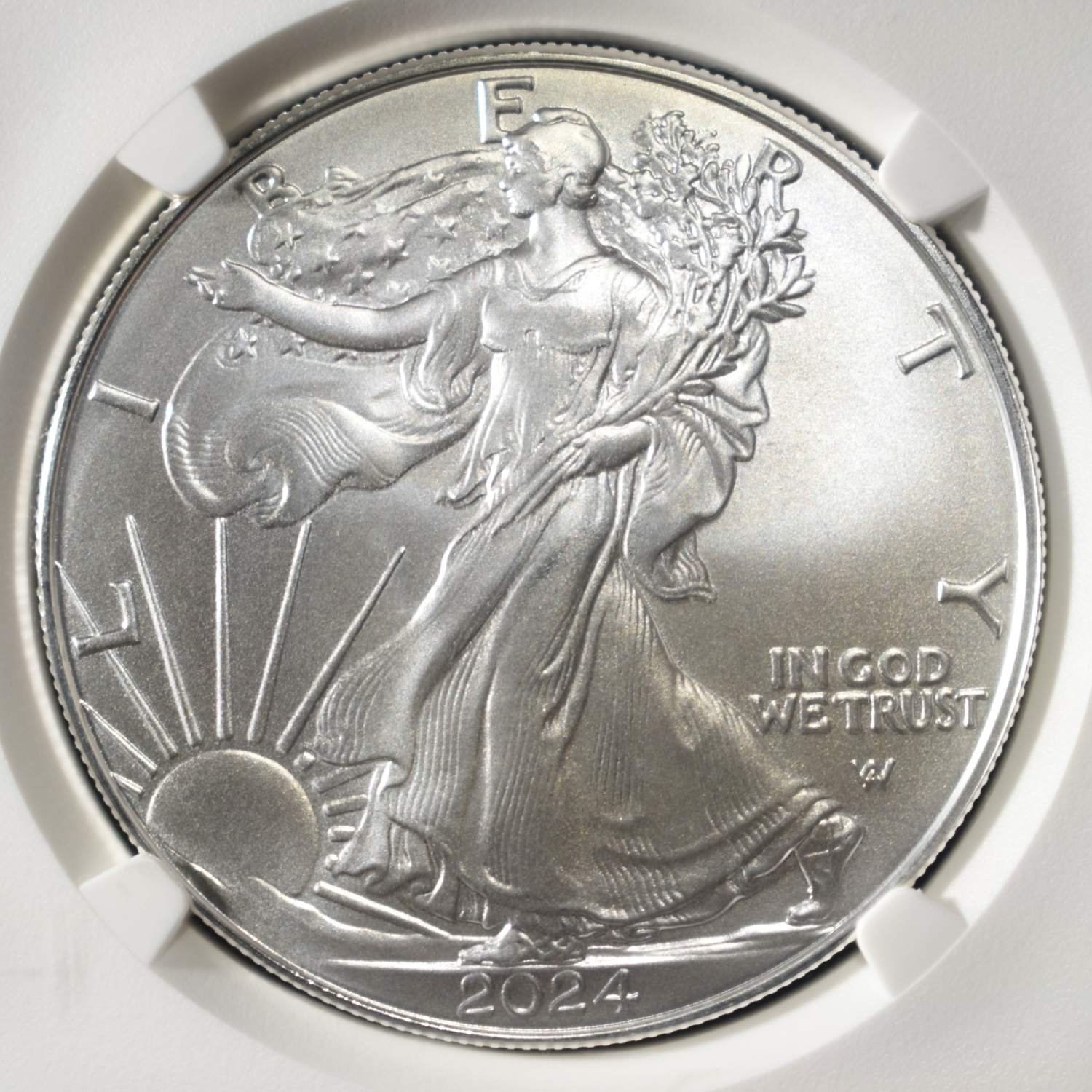 2024 AMERICAN SILVER EAGLE NGC MS70