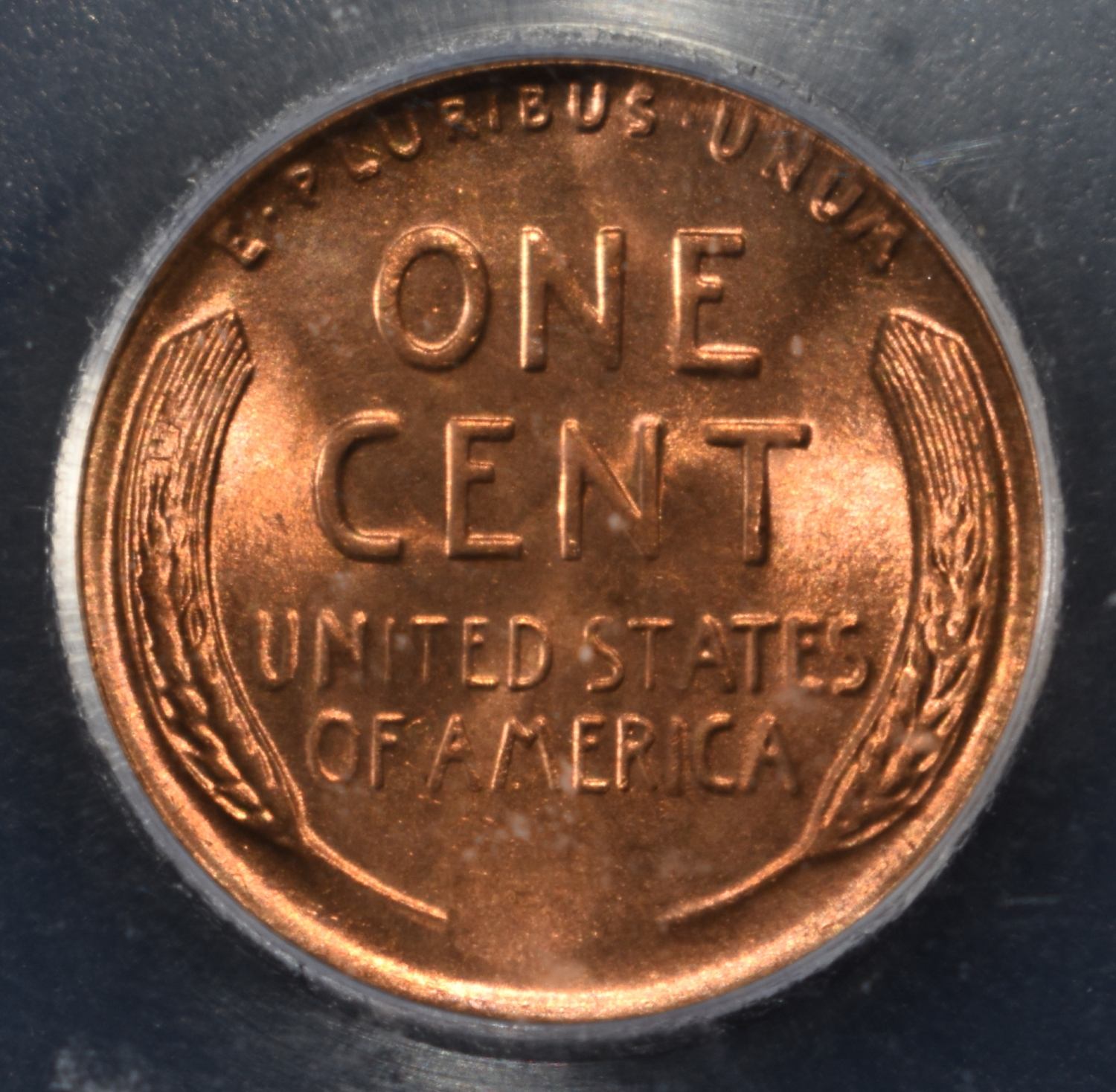 1955 WHEAT CENT POORMAN'S ICG MS67 RD