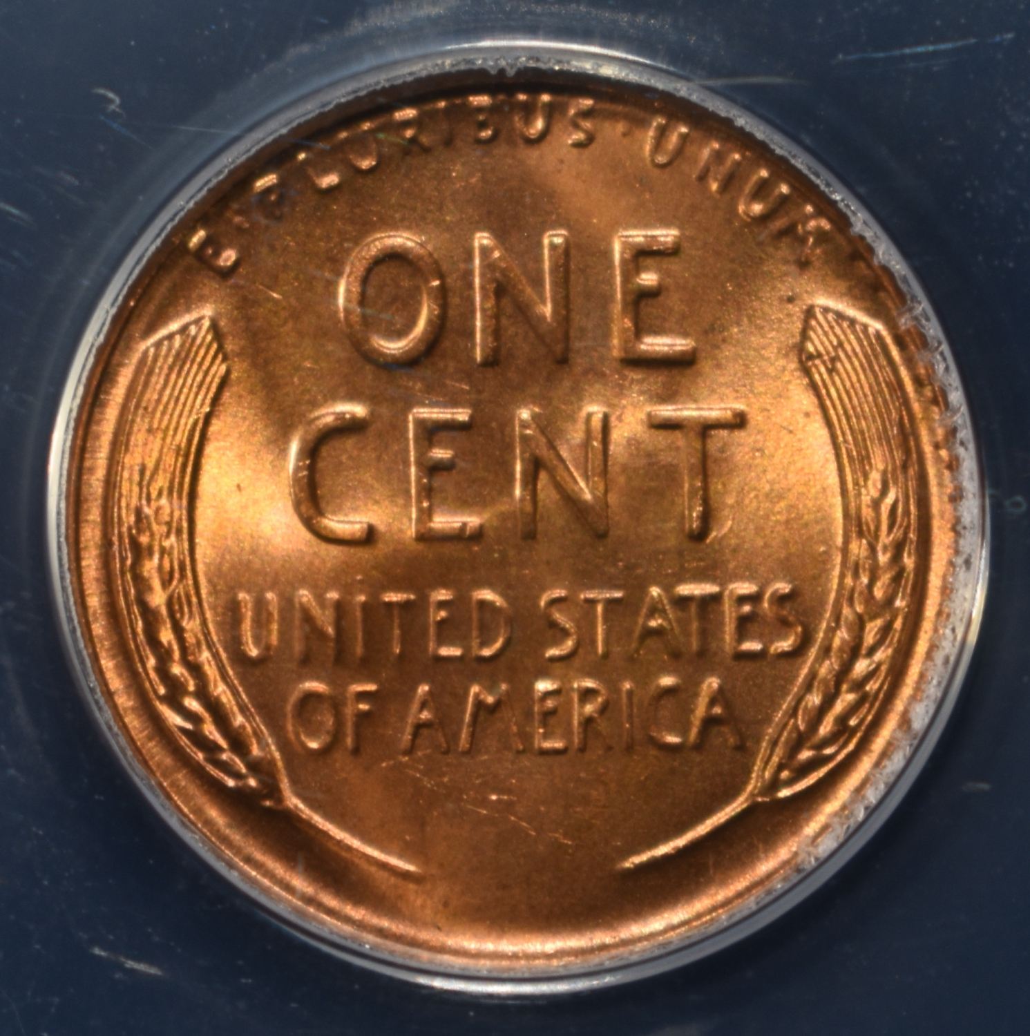 1956 WHEAT CENT ANACS MS66 RED