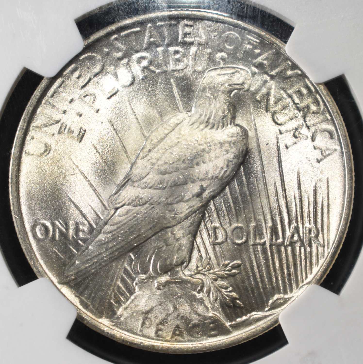 1923 PEACE DOLLAR NGC MS63