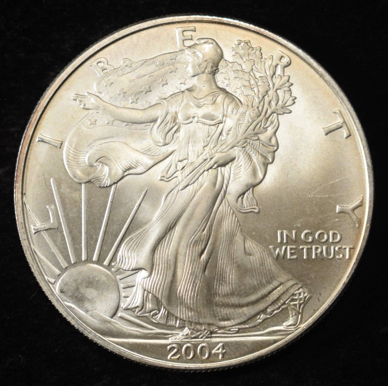 2004 AMERICAN SILVER EAGLE