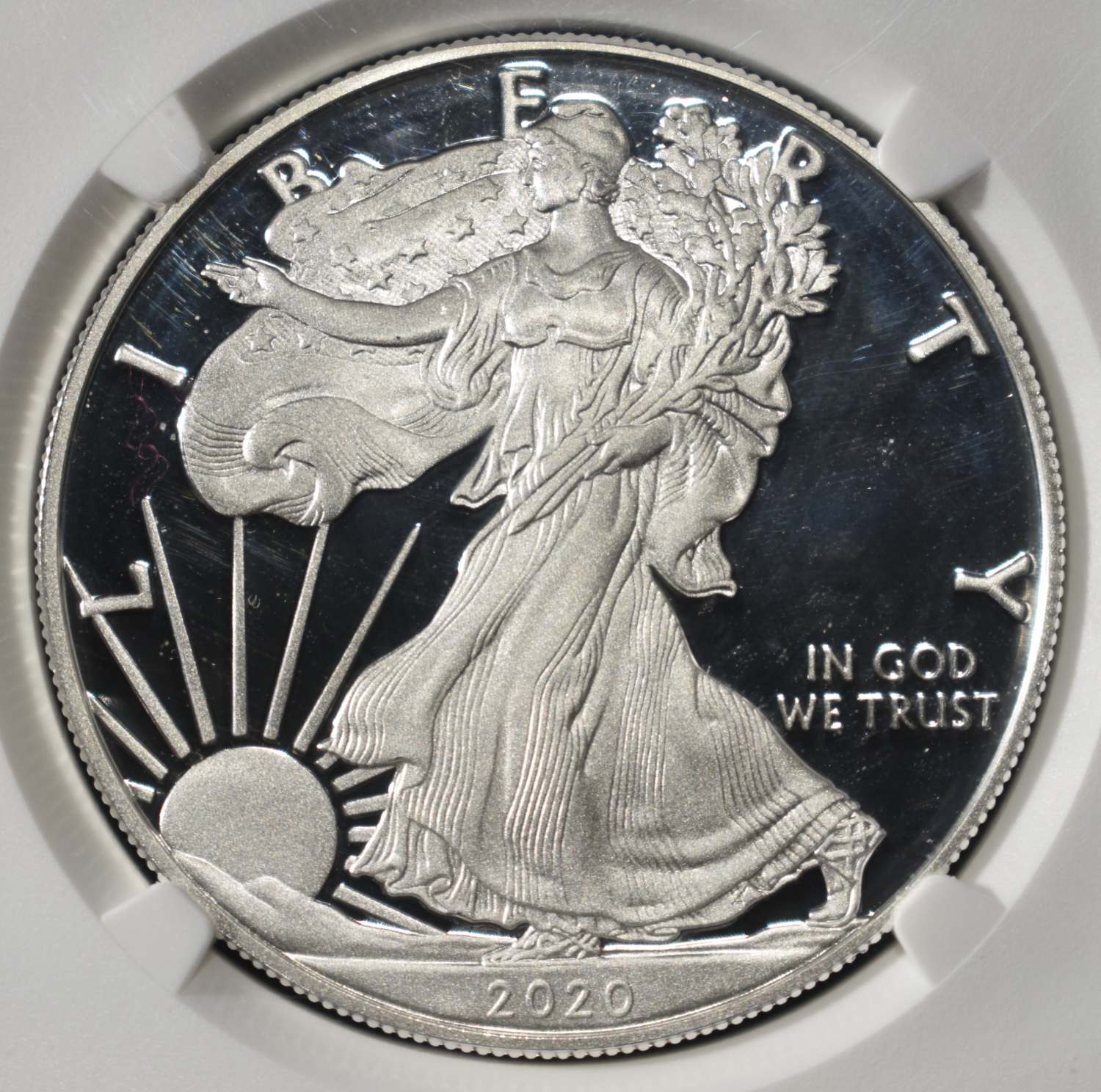 2020-S AMERICAN SILVER EAGLE NGC PF 69 UCAM