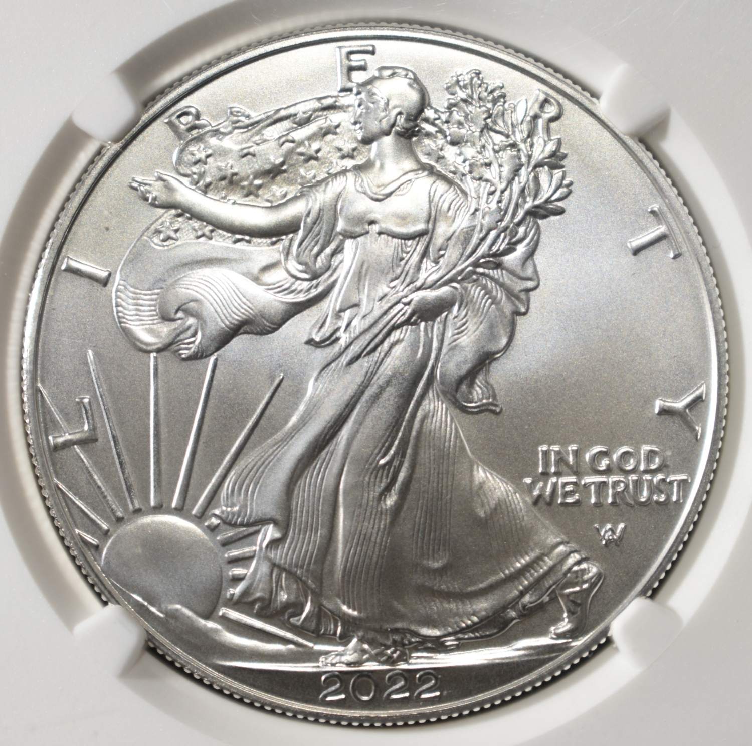 2022-W AMERICAN SILVER EAGLE BURNISHED NGC MS69