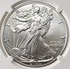 2022-W AMERICAN SILVER EAGLE BURNISHED NGC MS69. BID WITH SILVER CITY AUCTIONS ESTIMATE $120 - $170.Image - 1