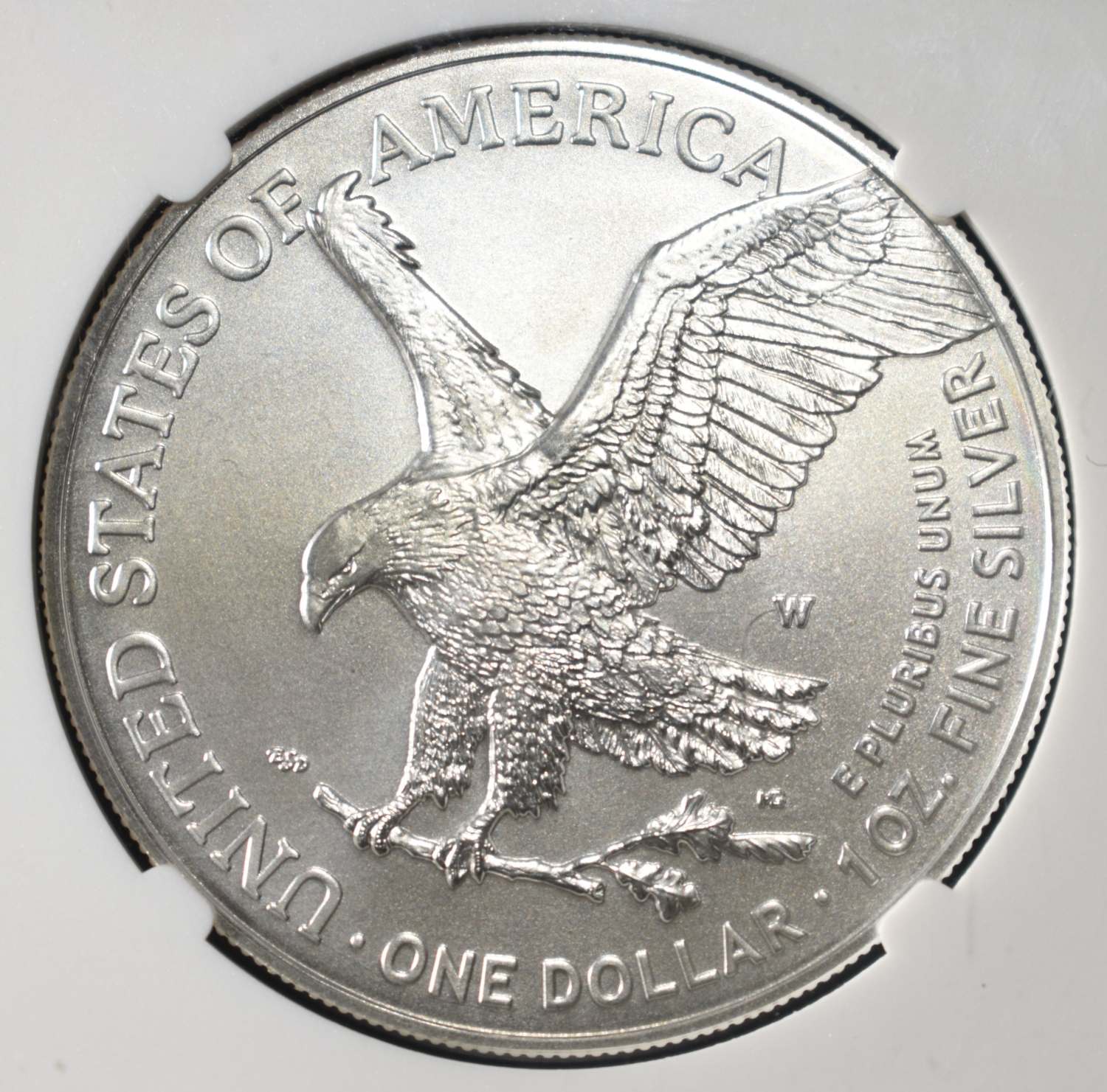 2022-W AMERICAN SILVER EAGLE BURNISHED NGC MS69