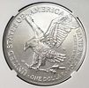 2022-W AMERICAN SILVER EAGLE BURNISHED NGC MS69. BID WITH SILVER CITY AUCTIONS ESTIMATE $120 - $170.Image - 2