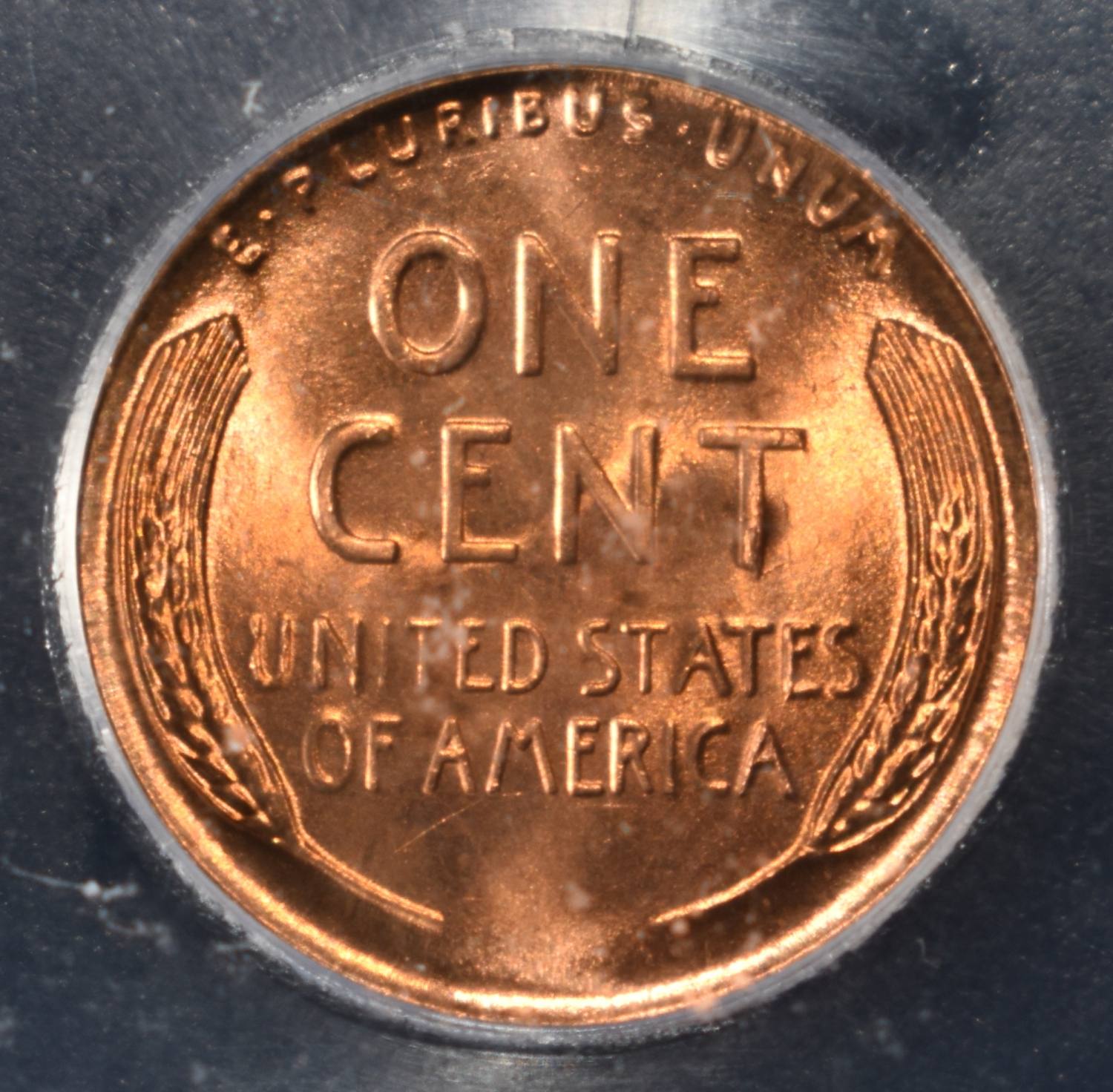 1955 WHEAT CENT ICG MS67RD
