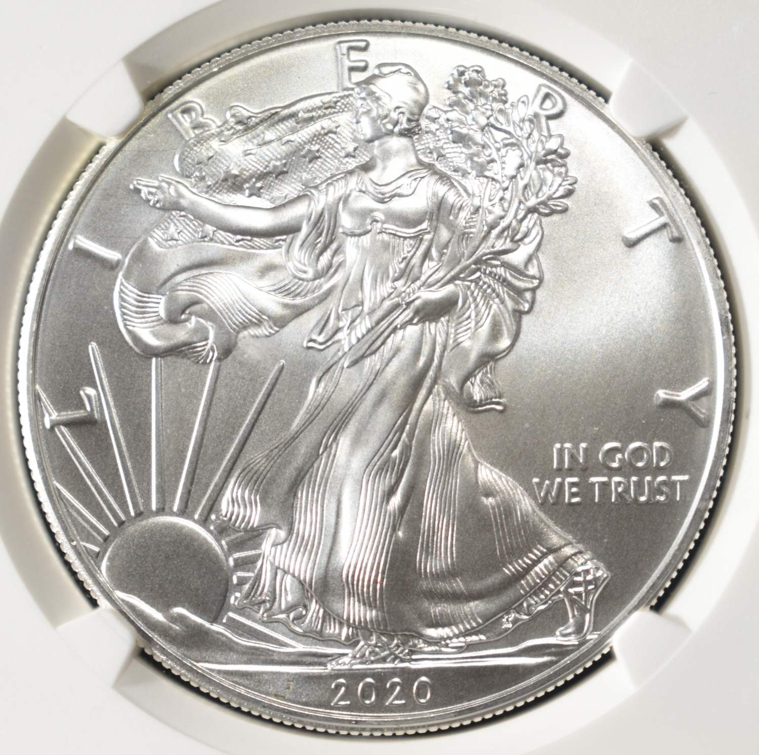2020 (P) AMERICAN SILVER EAGLE NGC MS69