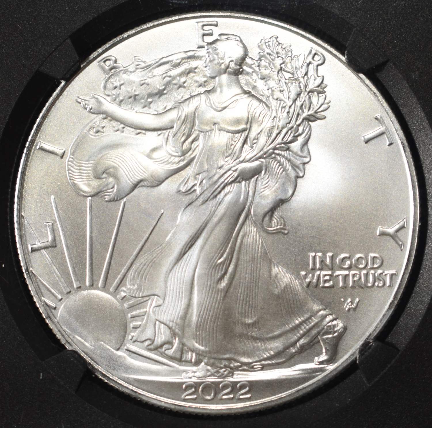 2022 AMERICAN SILVER EAGLE NGC MS70