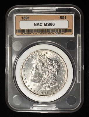 1891 MORGAN DOLLAR NAC SUPERB GEM BU. CHECK OUT OUR UPCOMING AUCTIONS ESTIMATE $300 - $350.