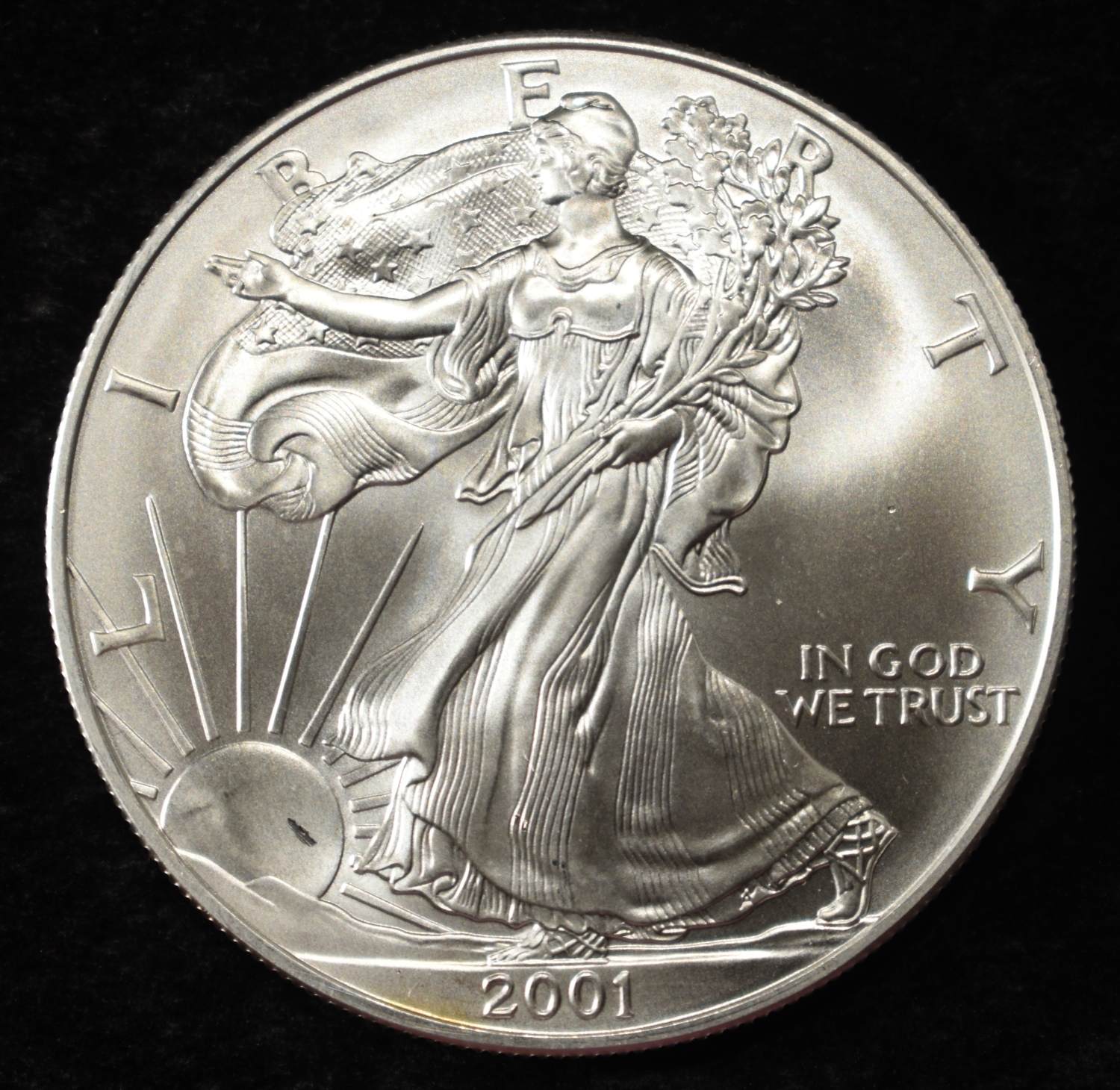 2001 AMERICAN SILVER EAGLE