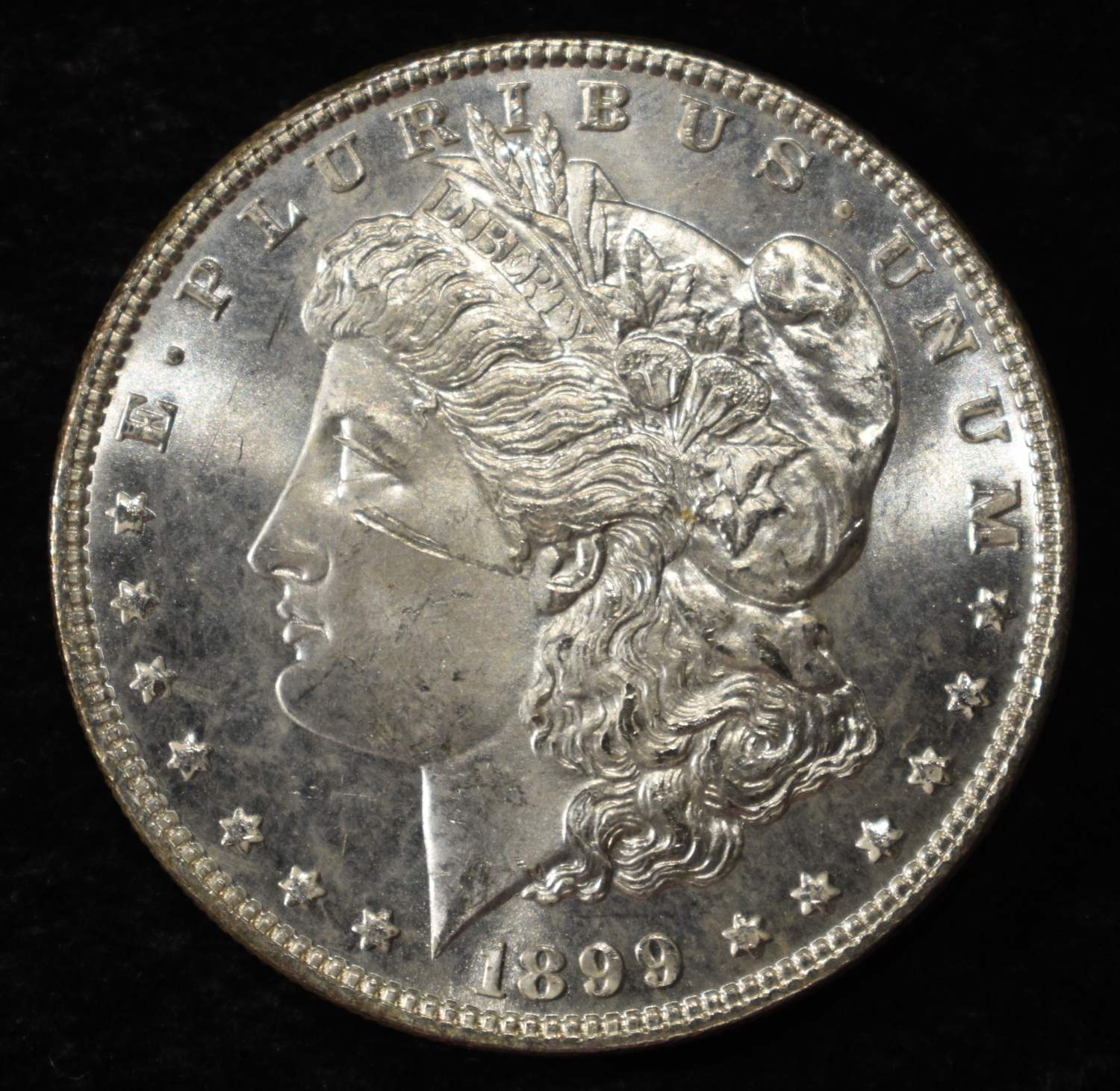 1899 MORGAN DOLLAR CH BU DMPL