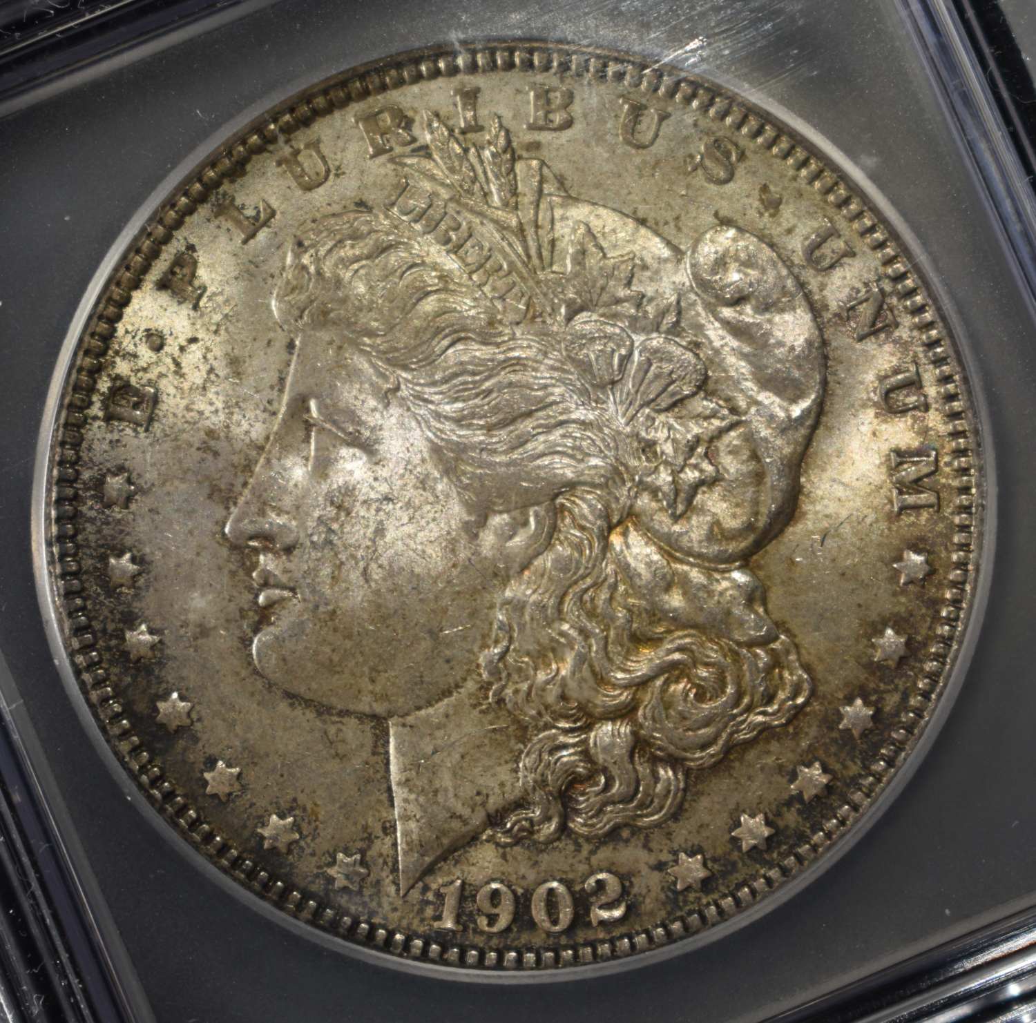 1902 MORGAN DOLLAR ICG MS-62