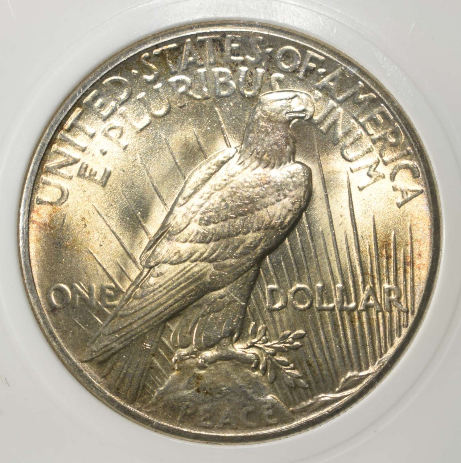 1928 PEACE DOLLAR PCI GEM BU